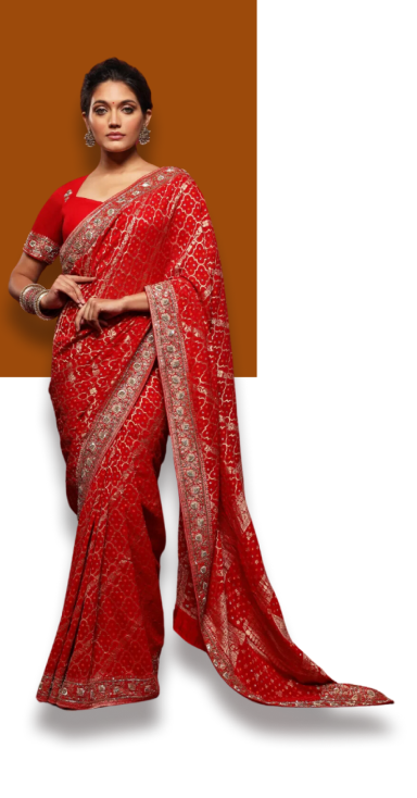 saree-look-nice